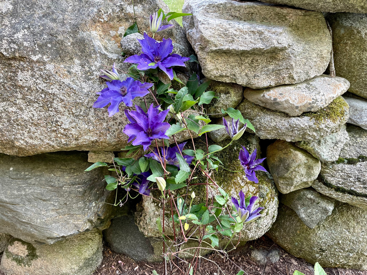 300 N Road Chilmark, MA 02535 - Photo 69 of 69