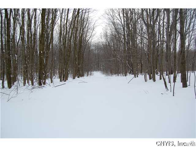 0 Co Rt 28 Altmar, NY 13302 - Photo 1 of 1 Land. nature trails for recreational use run throu