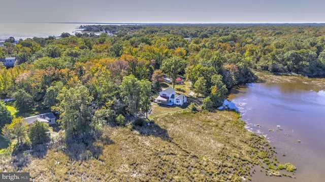 a view of a yard with an outdoor space