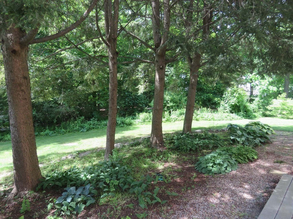 22 Oldham Road Westborough, MA 01581 - Photo 34 of 42 Gallery Image 34