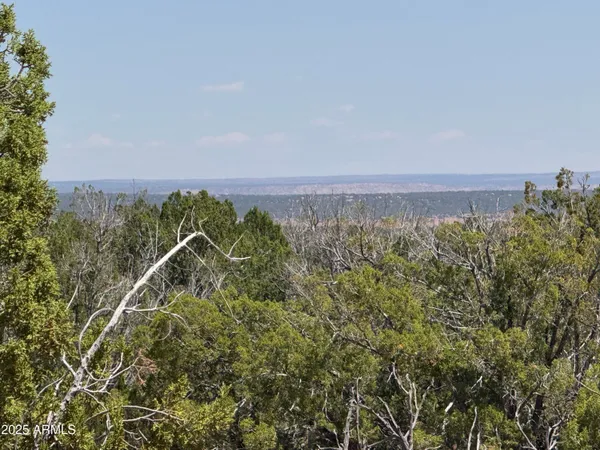 an aerial view of a residential houses with city view