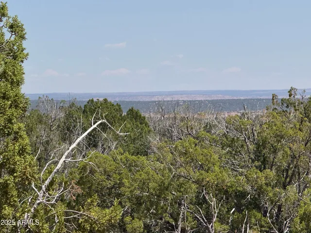 an aerial view of a residential houses with city view