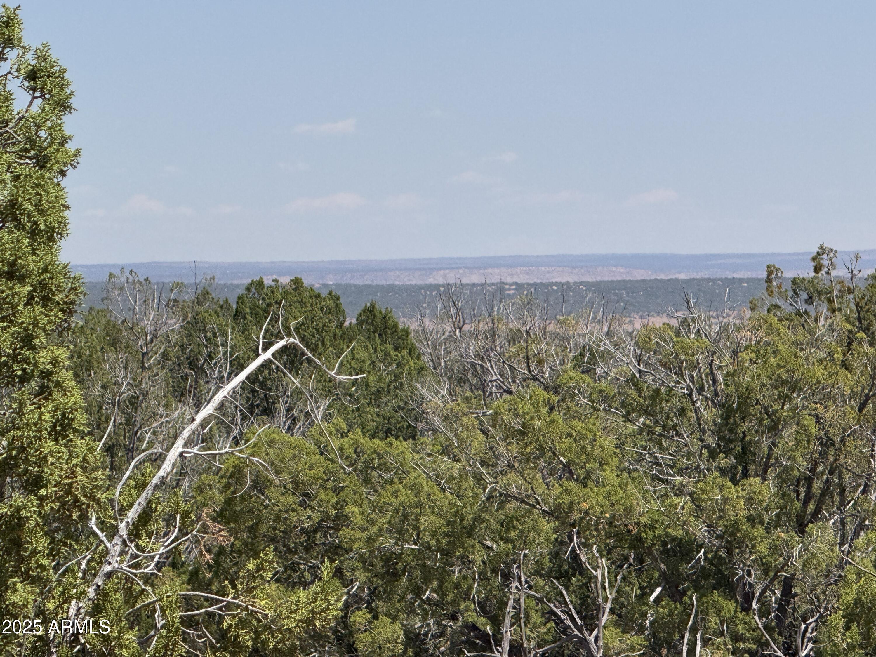 an aerial view of a residential houses with city view