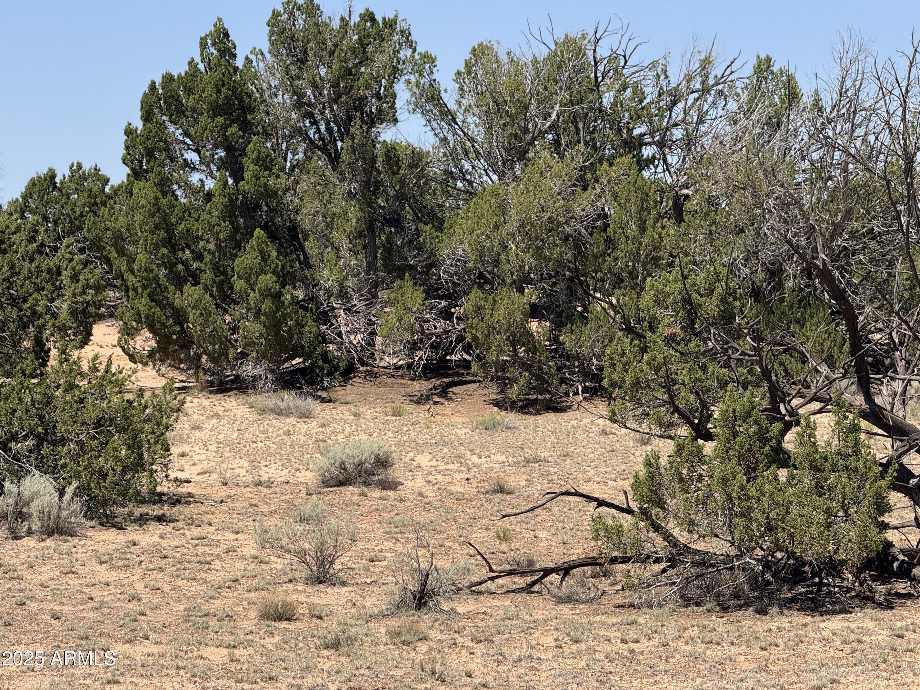 Lot 178 Red Sky Ranch, Unit 178 St. Johns, AZ 85936 - Photo 11 of 17 a view of a yard covered in snow