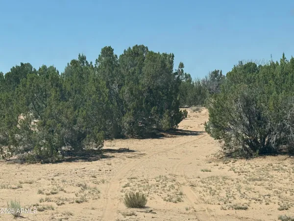 a view of a yard covered in snow