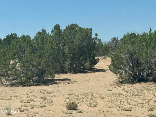a view of a yard covered in snow