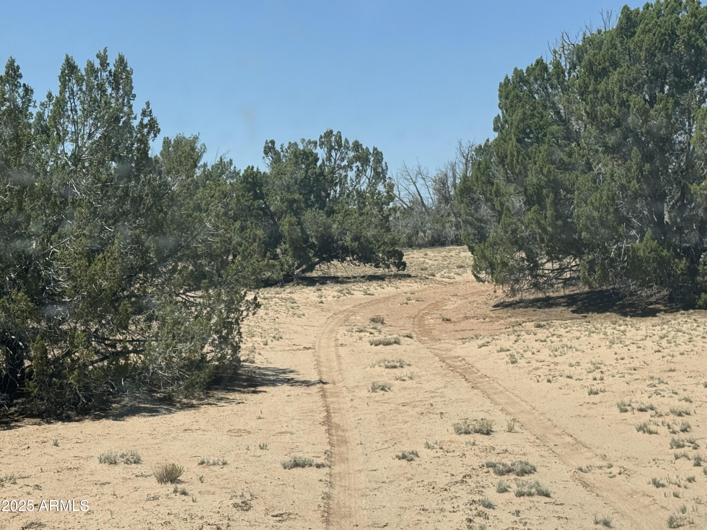 Lot 178 Red Sky Ranch, Unit 178 St. Johns, AZ 85936 - Photo 13 of 17 a view of a yard covered in snow