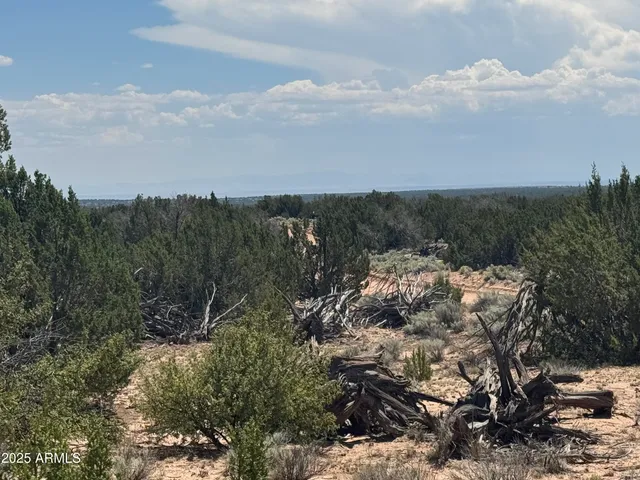 a view of a field with trees in background