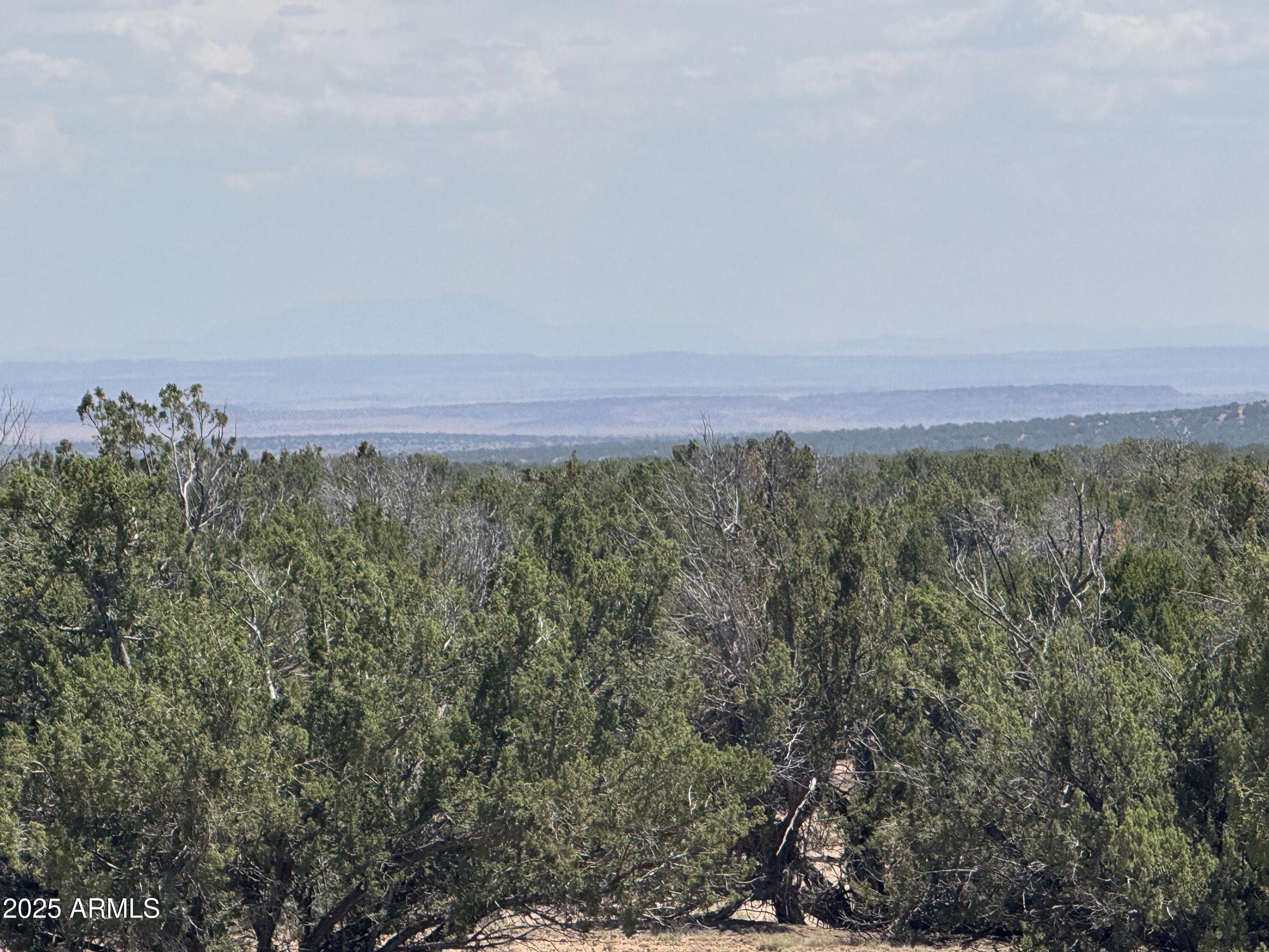 Lot 178 Red Sky Ranch, Unit 178 St. Johns, AZ 85936 - Photo 16 of 17 a view of a field with trees in background