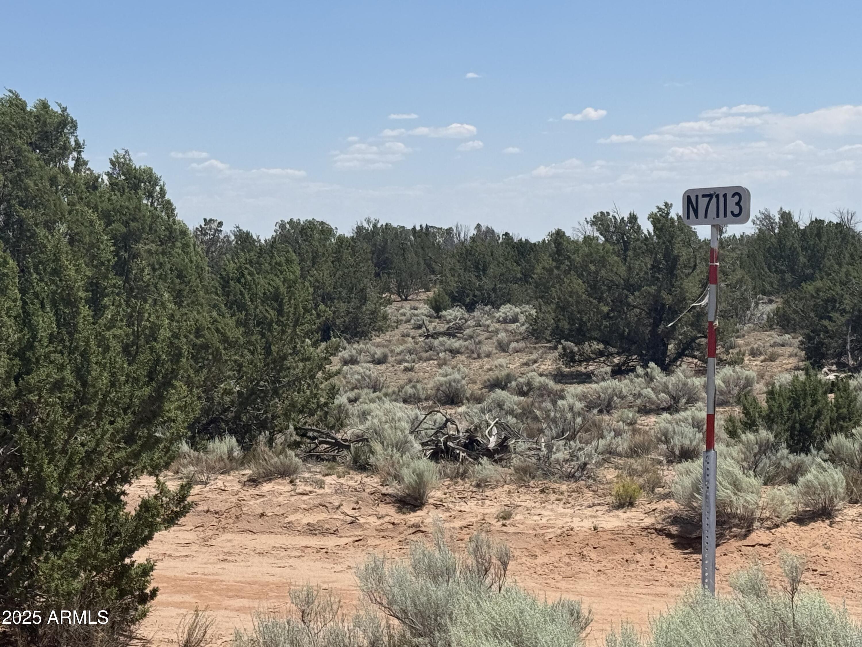 Lot 178 Red Sky Ranch, Unit 178 St. Johns, AZ 85936 - Photo 2 of 17 a view of a yard