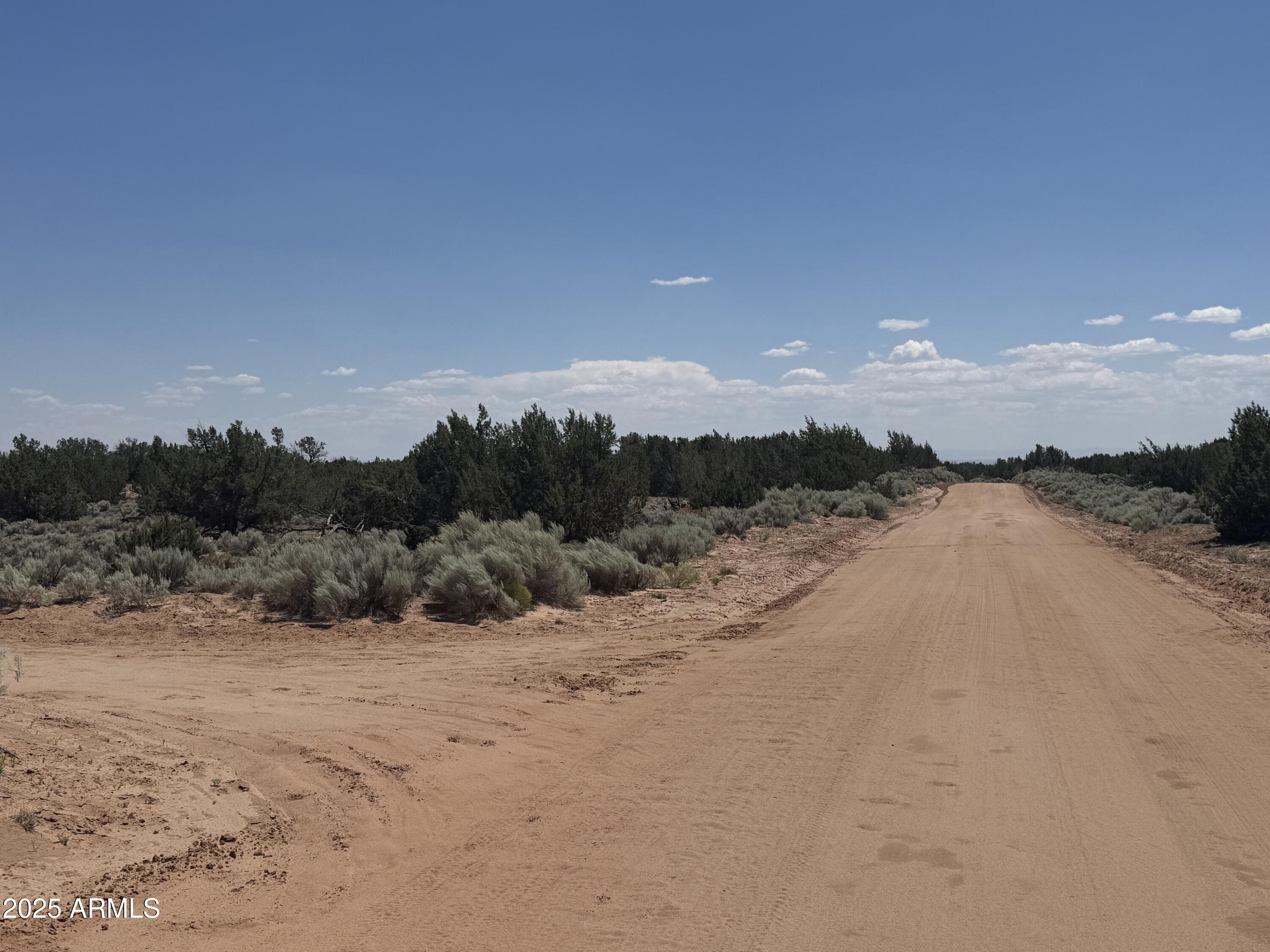 Lot 178 Red Sky Ranch, Unit 178 St. Johns, AZ 85936 - Photo 3 of 17 a view of a lake with mountains in the background