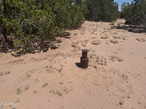 a view of snow on the road