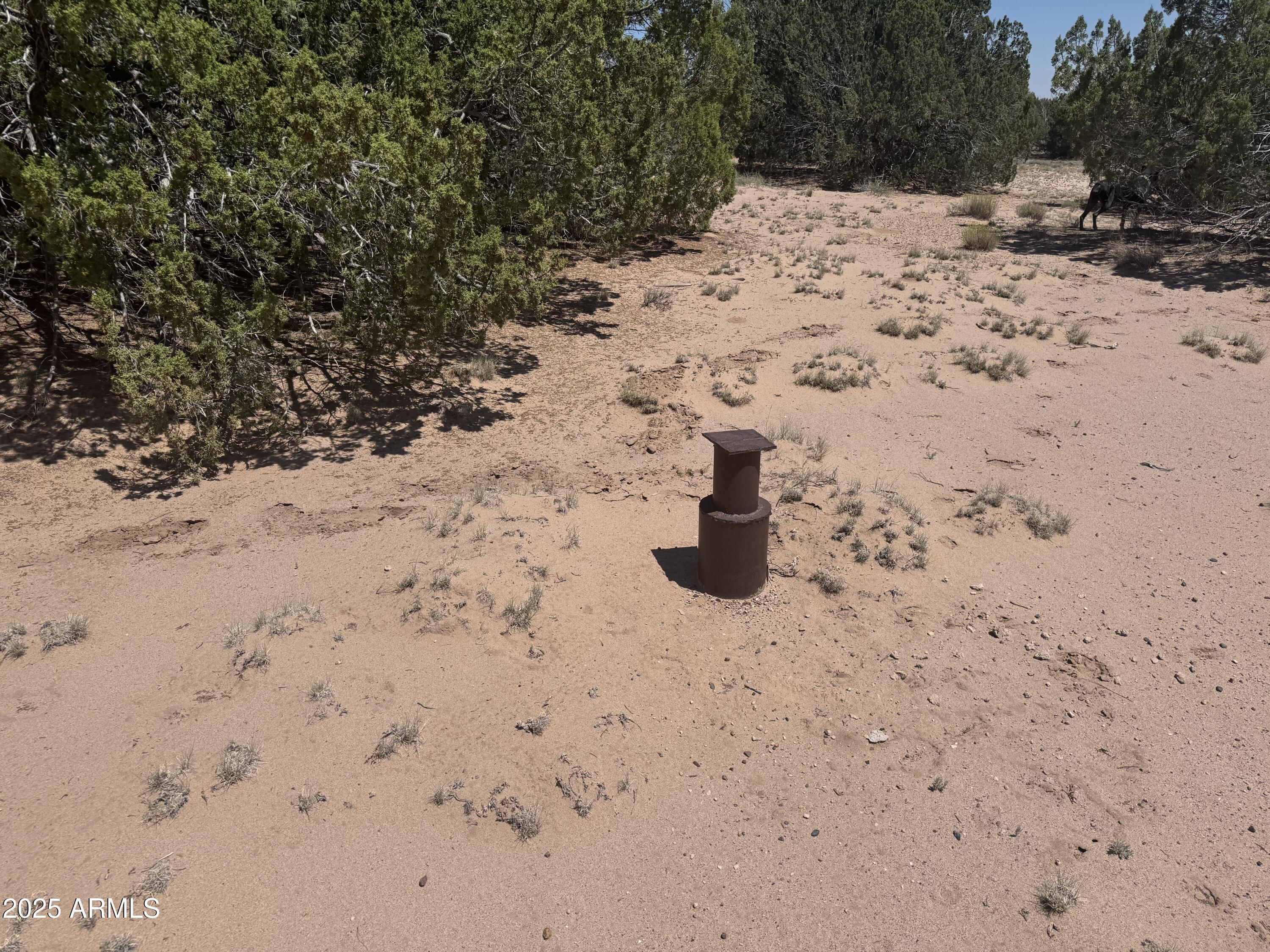 Lot 178 Red Sky Ranch, Unit 178 St. Johns, AZ 85936 - Photo 4 of 17 a view of snow on the road