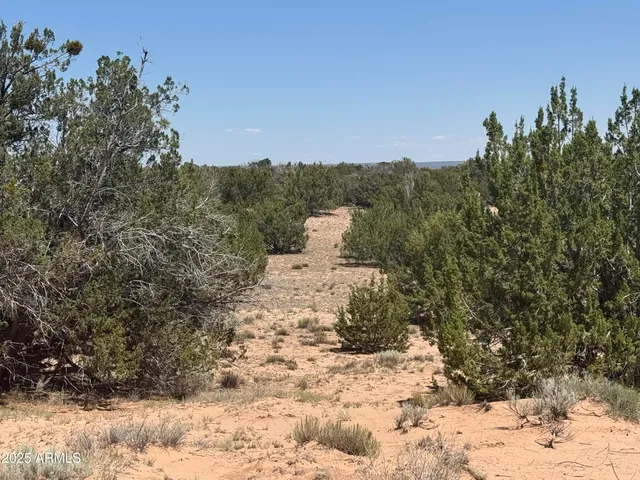 a view of a yard covered with snow in front of house