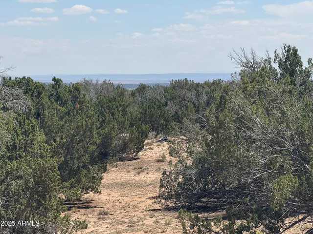 a view of a yard with a tree