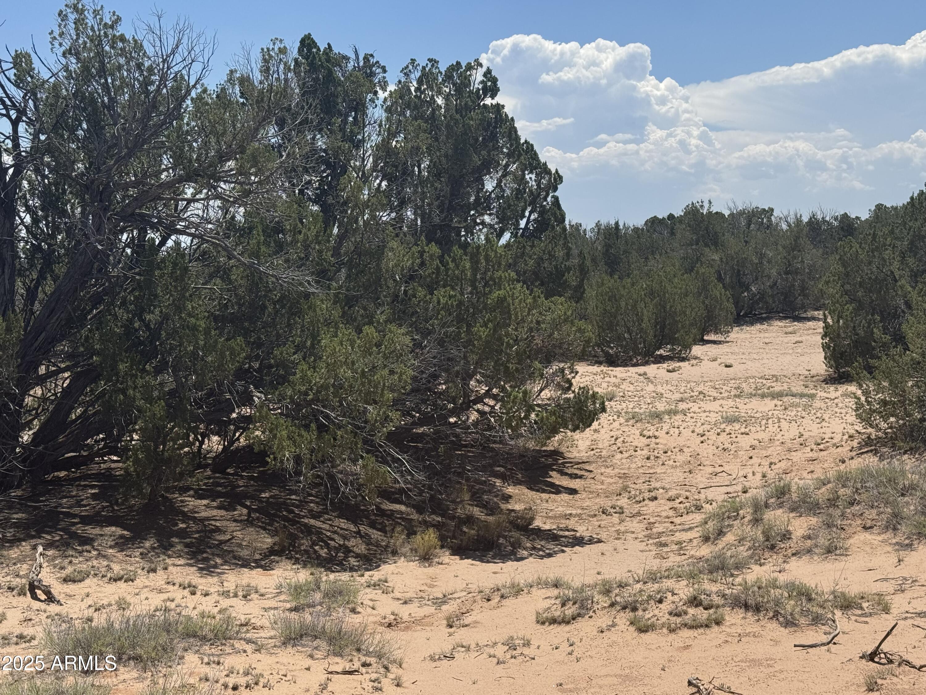 Lot 178 Red Sky Ranch, Unit 178 St. Johns, AZ 85936 - Photo 8 of 17