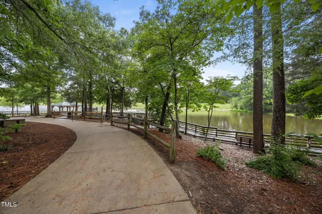 a park with large trees