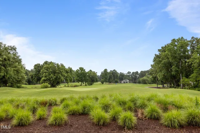 a view of a grassy field with trees