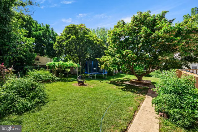 a view of a garden with a tree