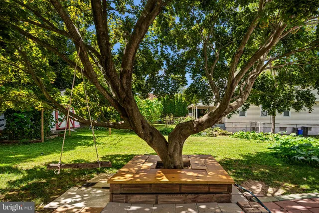 a view of a garden with a tree in the background