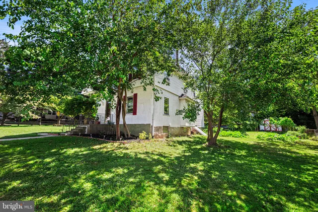 a backyard of a house with plants and large trees