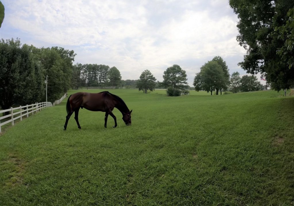 725 Fowler Ford Road Portland, TN 37148 - Photo 51 of 66 a view of outdoor space and yard