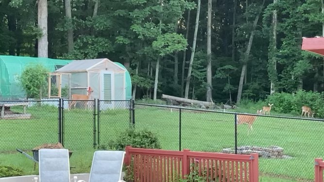 725 Fowler Ford Road Portland, TN 37148 - Photo 54 of 66