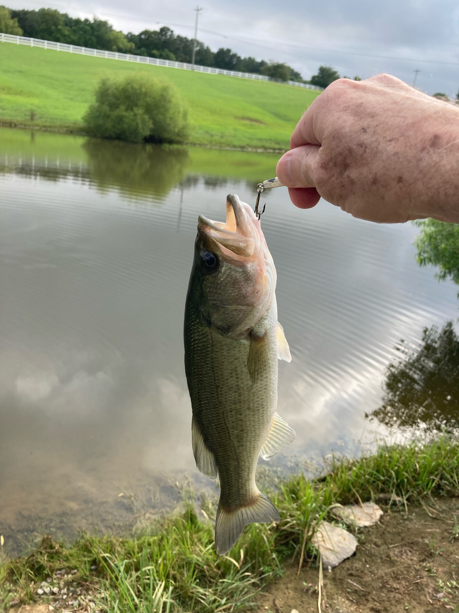 725 Fowler Ford Road Portland, TN 37148 - Photo 57 of 66 a view of a lake from a yard