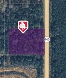 $70,000 | 2-ac 2-ac 445th Highway, Loranger, LA 70446