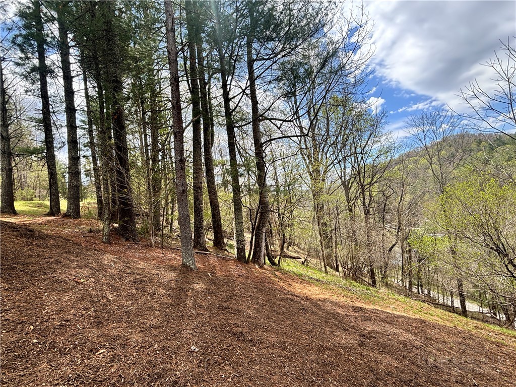 150 Turkey Ridge Crumpler, NC 28617 - Photo 15 of 40 a view of outdoor space with trees