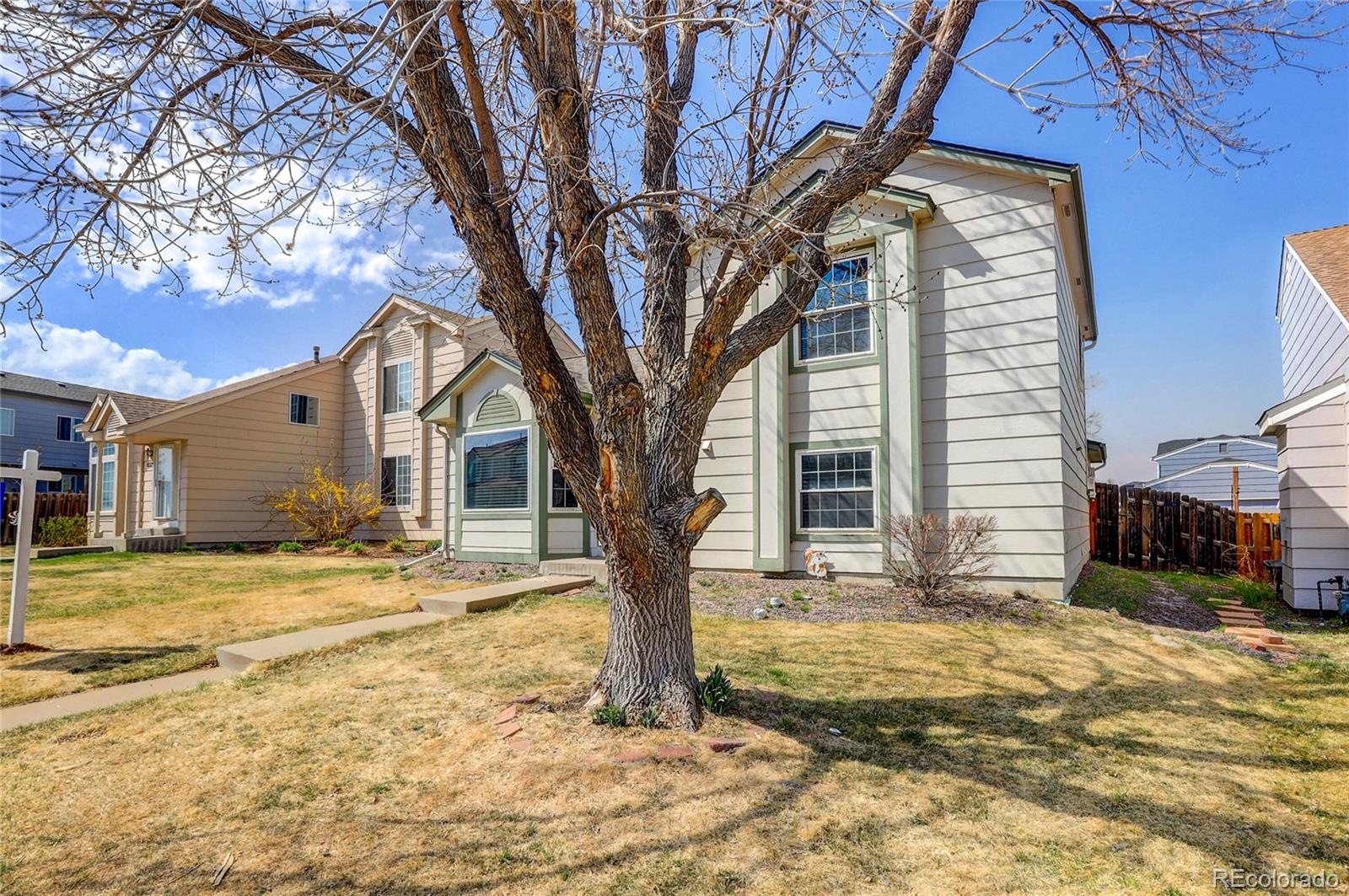 4381 Perth Circle Denver, CO 80249 - Photo 29 of 35 a tree in front of a white house