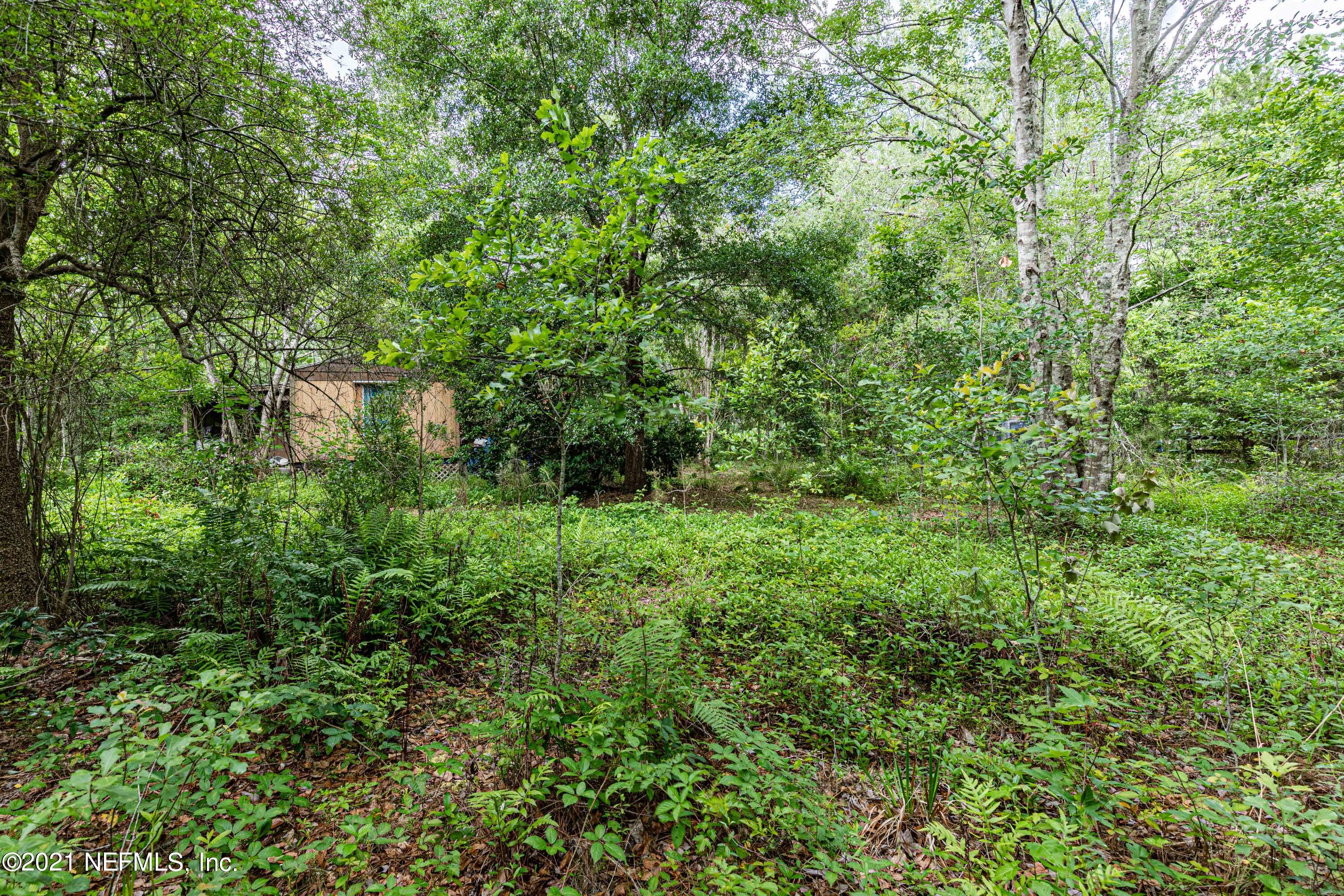 1490 Marlee Road St. Johns, FL 32259 - Photo 11 of 11 a view of a lush green forest