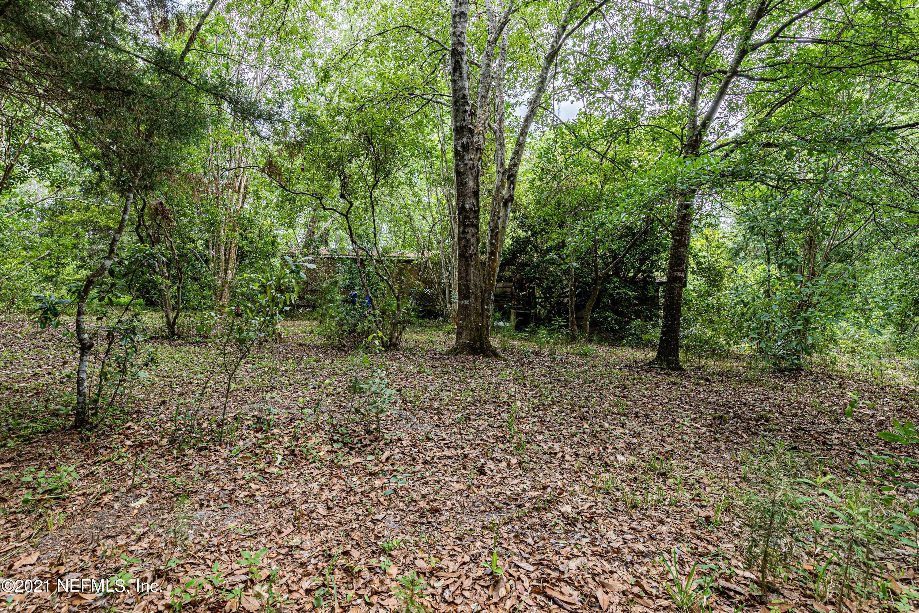 1490 Marlee Road St. Johns, FL 32259 - Photo 7 of 11 a view of a forest with trees in the background