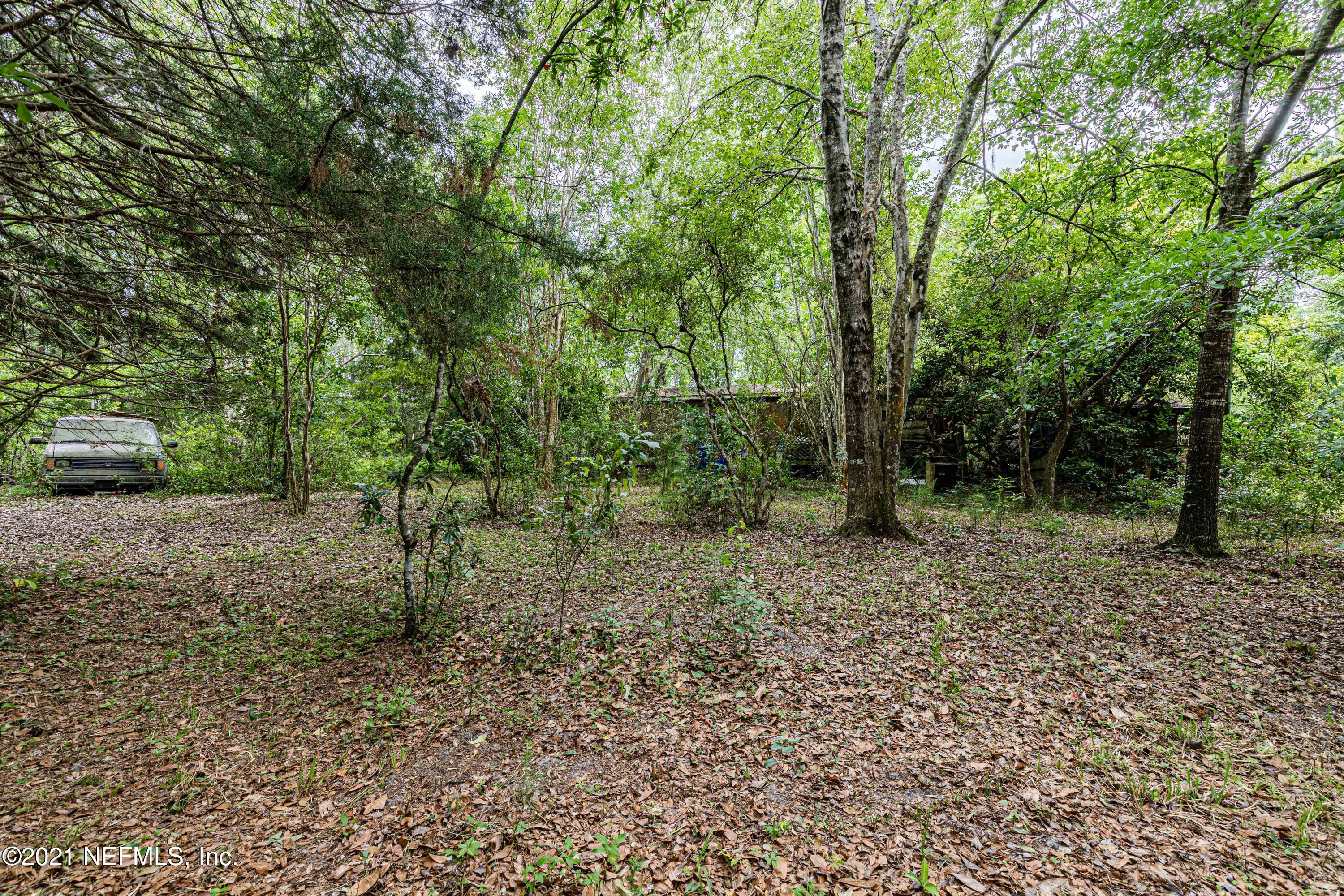 1490 Marlee Road St. Johns, FL 32259 - Photo 8 of 11 a view of a forest filled with trees