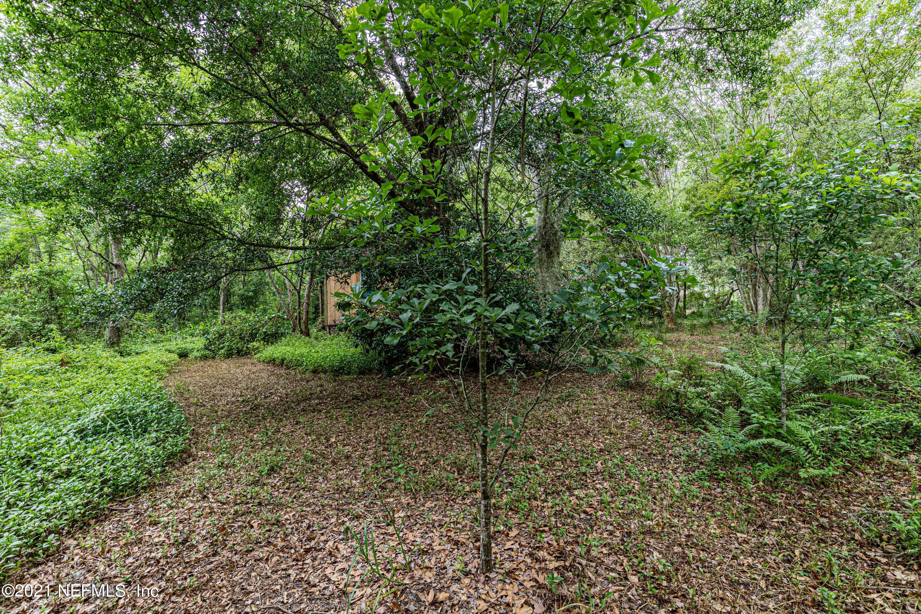 1490 Marlee Road St. Johns, FL 32259 - Photo 9 of 11 a view of a forest with a tree