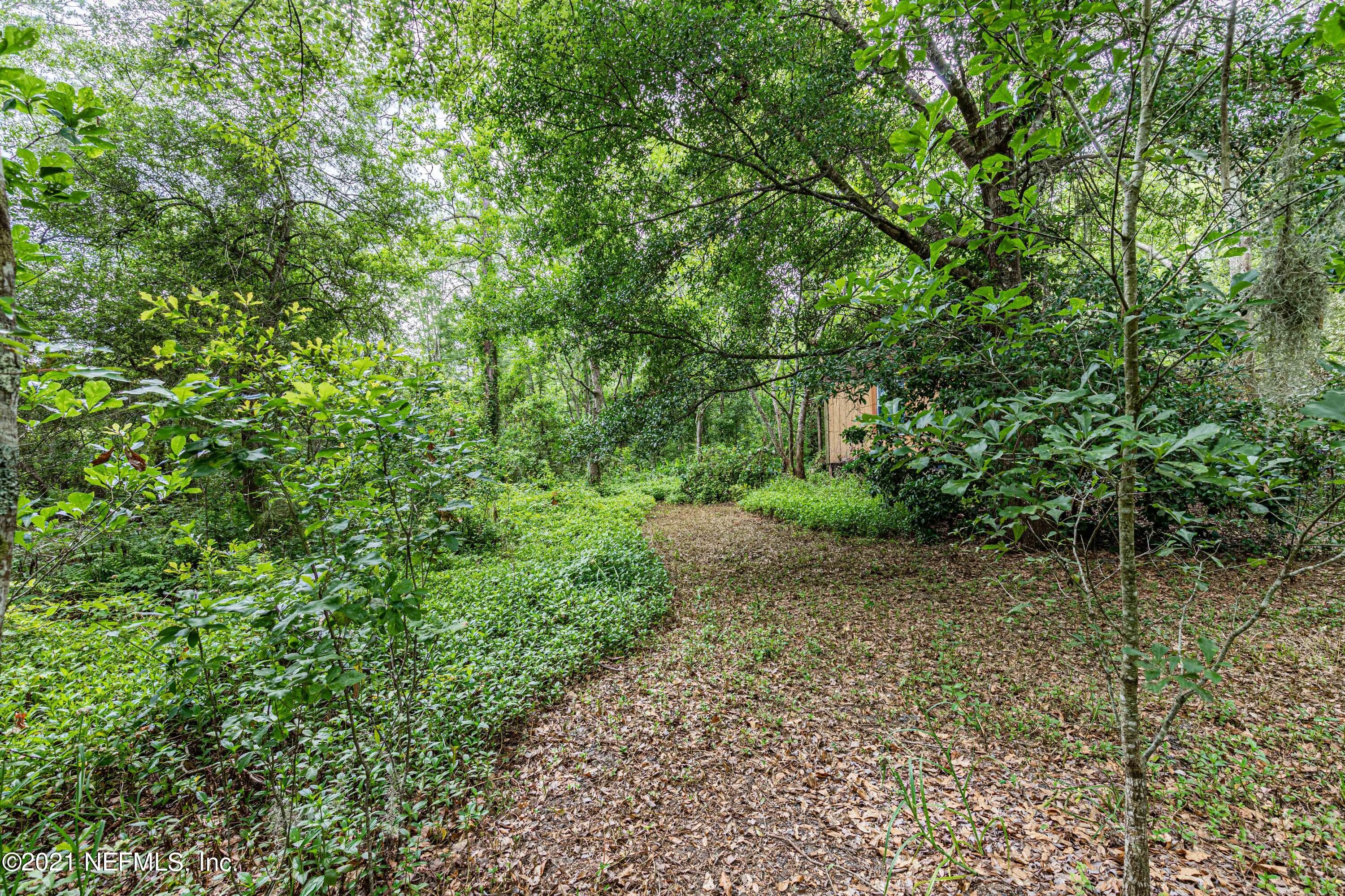 1490 Marlee Road St. Johns, FL 32259 - Photo 10 of 11 a view of a yard with plants and a tree
