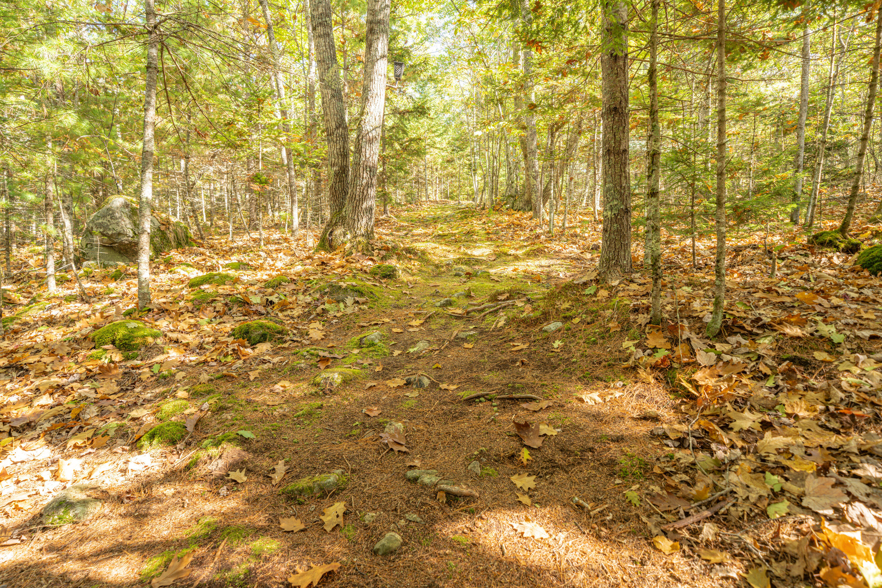 474 Leaches Point Road Orland, ME 04472 - Photo 68 of 90 9242