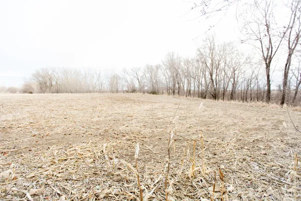 $359,900 | 1150 Highway 7, Appleton, MN 56208