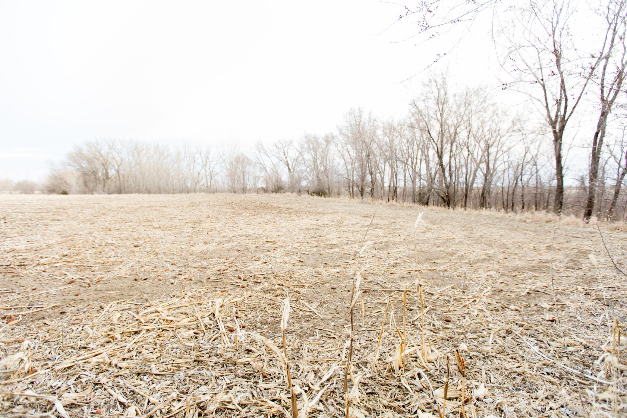 1150 Highway 7 Appleton, MN 56208 - Photo 78 of 79