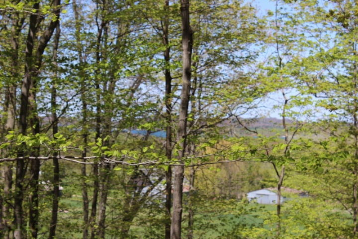 3733 Crescent Beach Road Manistee, MI 49660 - Photo 3 of 12 2015-05-13 12.40.43
