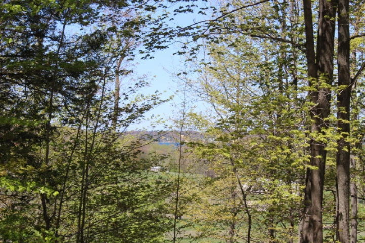 3733 Crescent Beach Road Manistee, MI 49660 - Photo 6 of 12 2015-05-13 12.41.31
