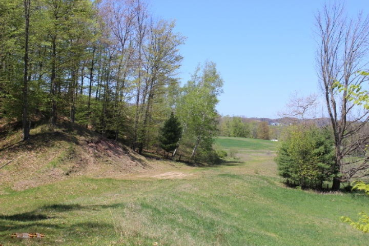 3733 Crescent Beach Road Manistee, MI 49660 - Photo 7 of 12 2015-05-13 12.44.16