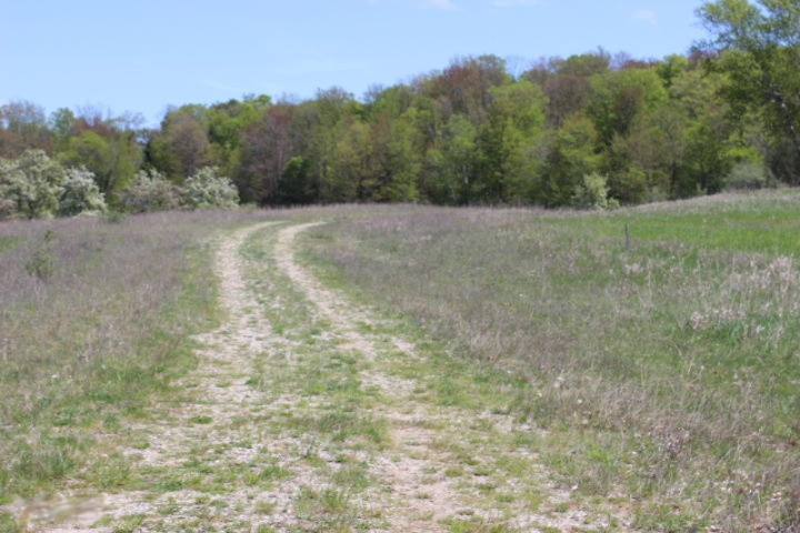 3733 Crescent Beach Road Manistee, MI 49660 - Photo 9 of 12 2015-05-13 12.46.09