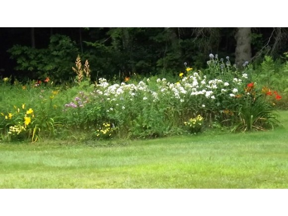 581 Under The Mountain Road Lyman, NH 03585 - Photo 20 of 32