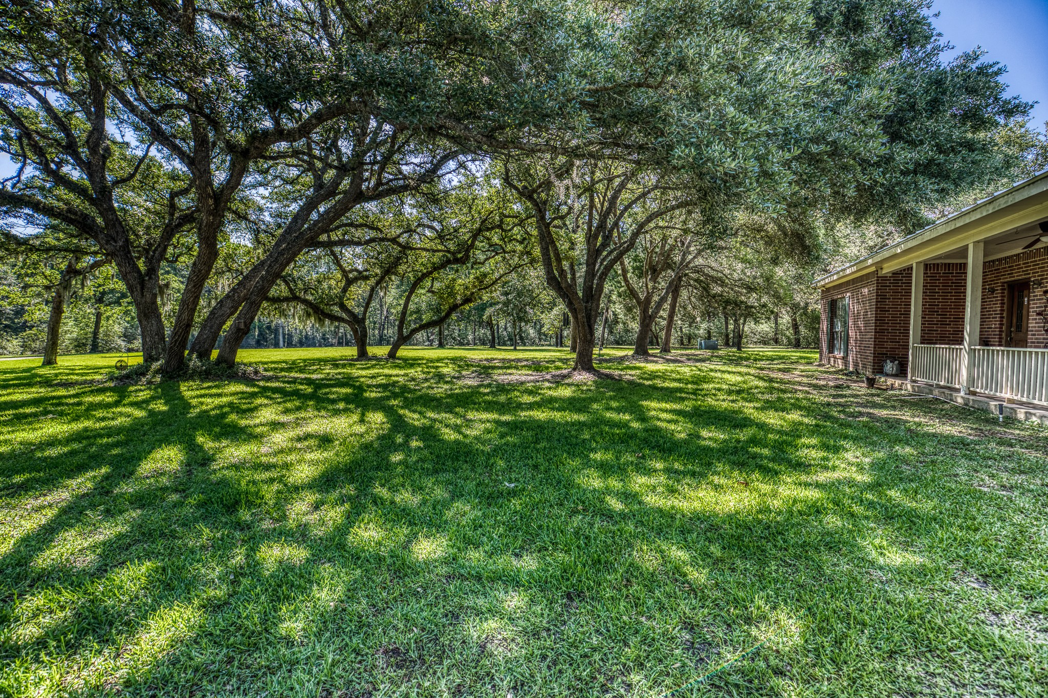 1017 Allen Road Cat Spring, TX 78933 - Photo 8 of 47 a big yard with trees