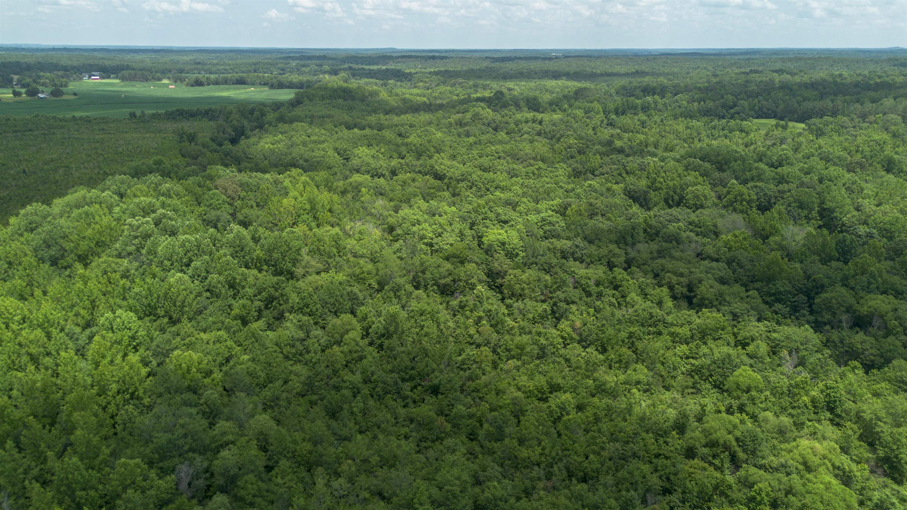 0 Young Road Finger, TN 38334 - Photo 3 of 7 a view of a field of grass and trees