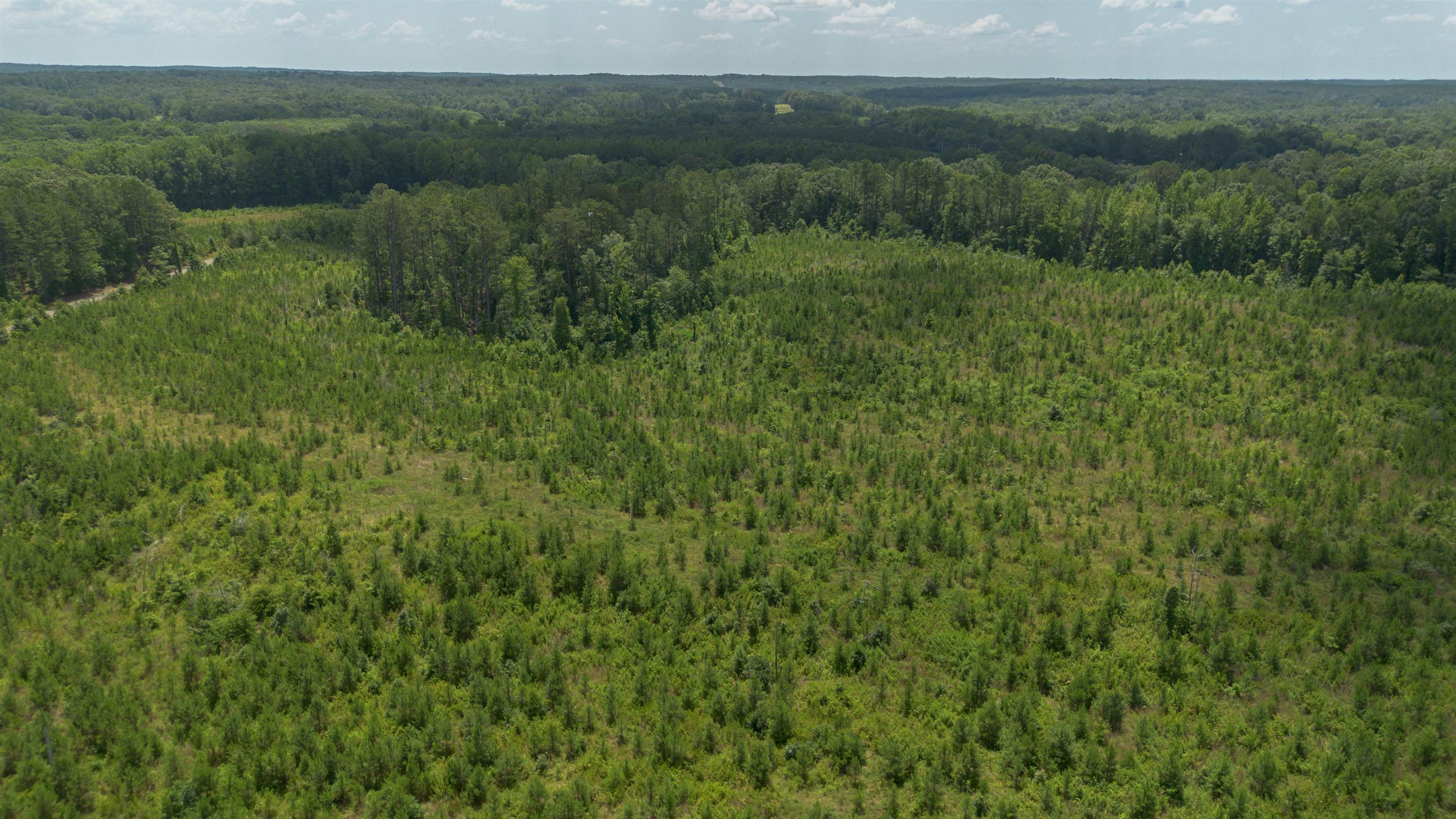 0 Young Road Finger, TN 38334 - Photo 4 of 7 a view of a lush green forest with trees and some houses