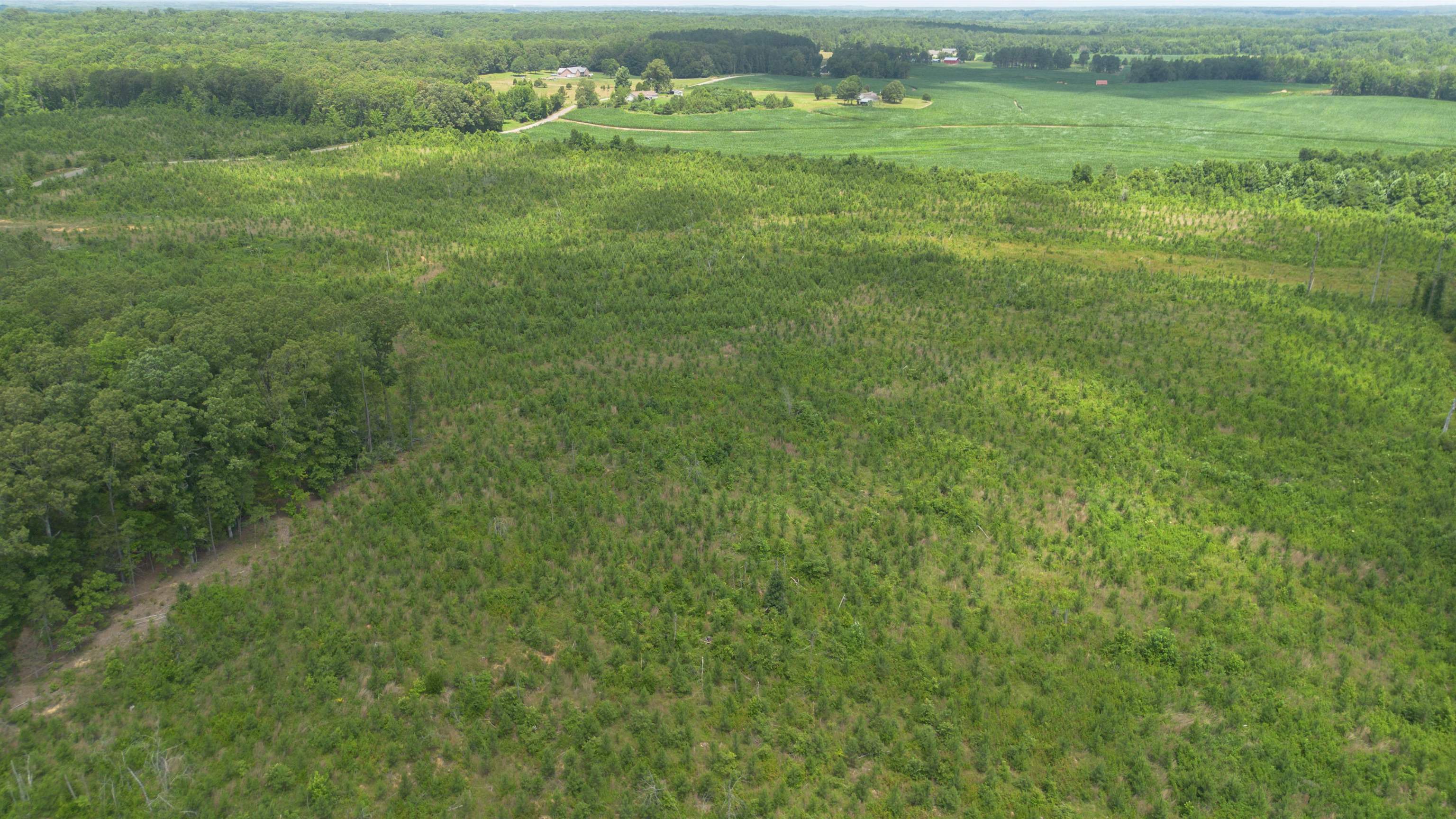 0 Young Road Finger, TN 38334 - Photo 5 of 7 a view of a big yard with large trees