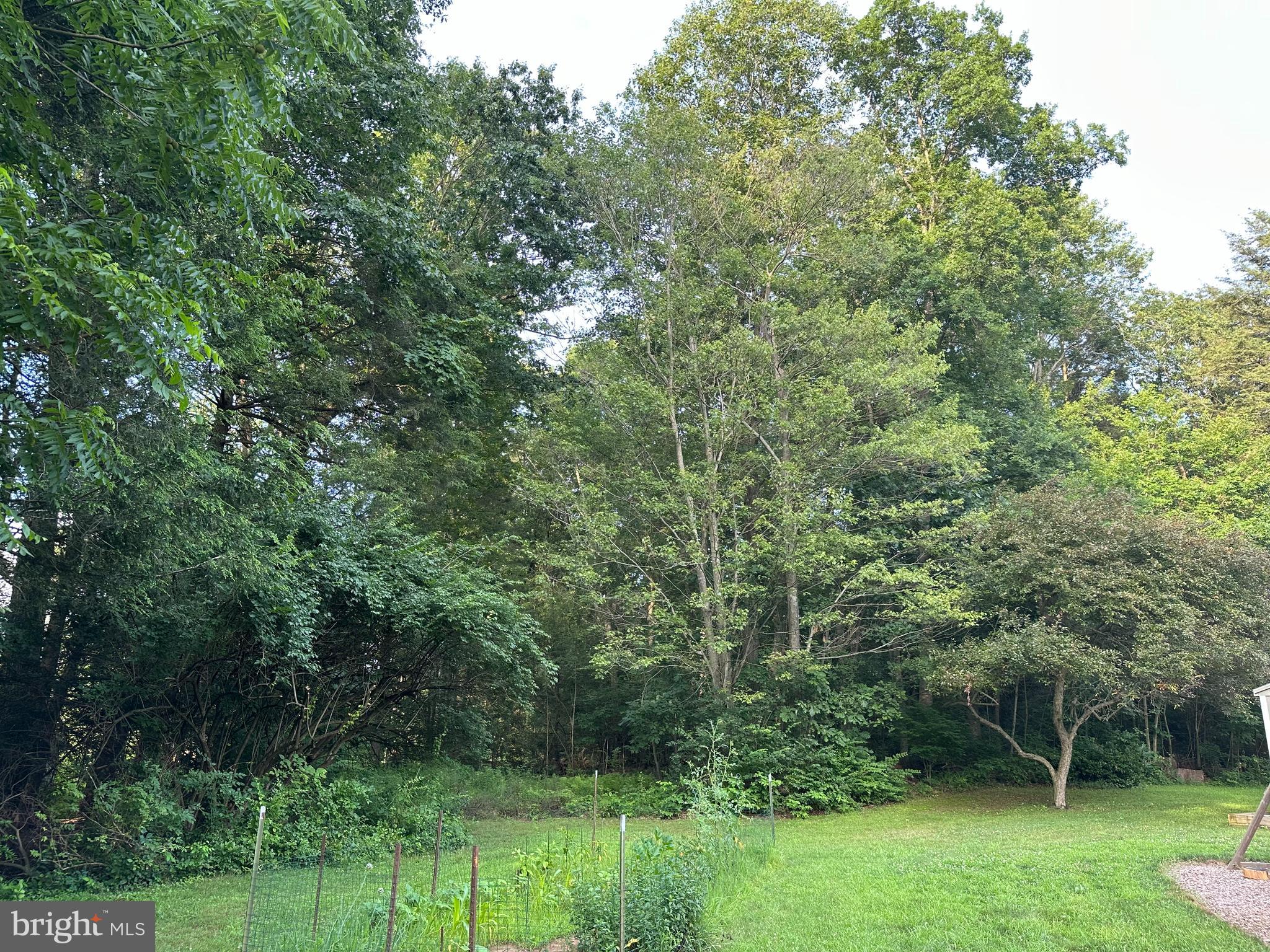Tadpole Road Pennsylvania Furnace, PA 16865 - Photo 1 of 3 Gallery Image 1