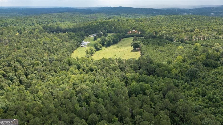 0 County Road 19 Heflin, AL 36264 - Photo 21 of 36